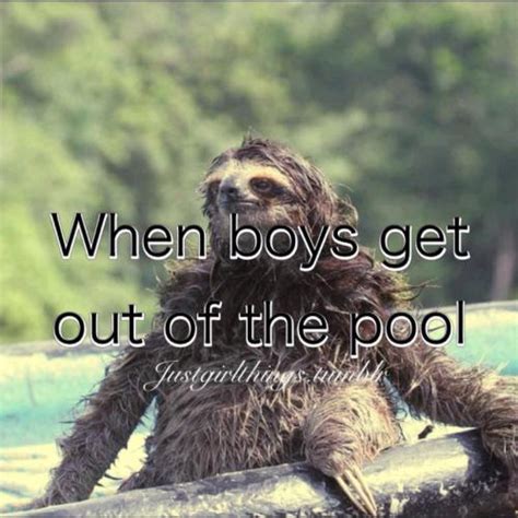 sloth meme on Tumblr