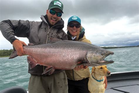 Arctic Char vs. Salmon: Looks, Taste, and Everything Else!