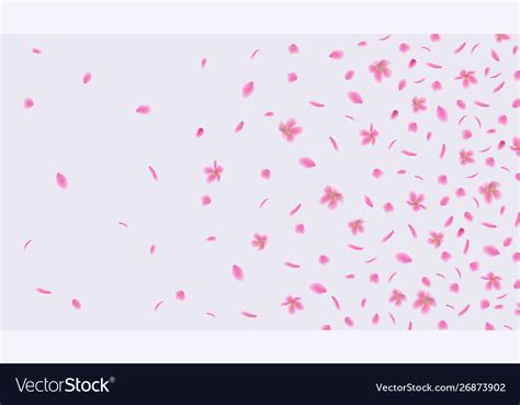 Pink sakura flower petals floating in wind Vector Image