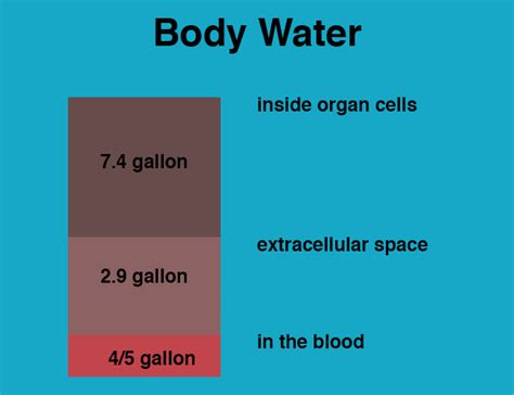 Water intoxication: How much water can kill you?