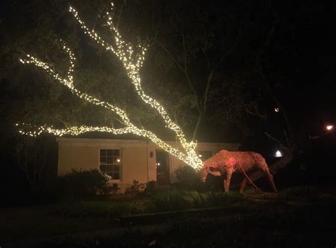 This Christmas lights display. : r/pics