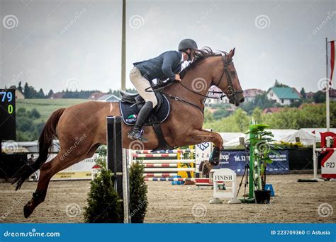 Equestrian Show Jumping Competitions Editorial Image - Image of lesser ...