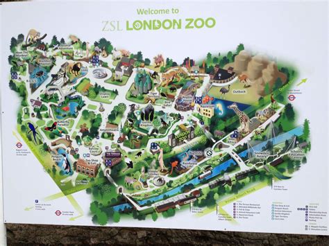 martin schwartz - London Zoo