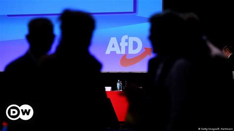 AfD fined over illegal campaign financing – DW – 04/16/2019