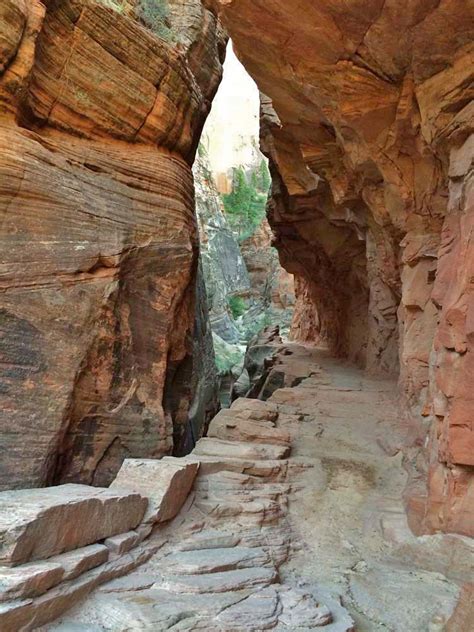 Observation Point – Zion National Park – Hike St George