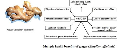 Anti-Inflammatory and Antioxidant Activities of Ginger | IntechOpen