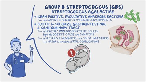 Streptococcus Group B