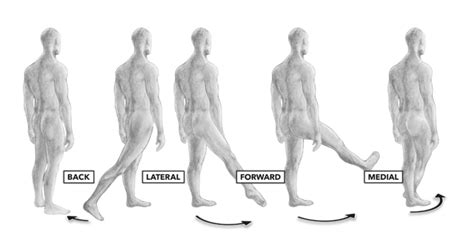 CrossFit | Movement about Joints, Part 5: The Hip