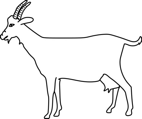 Outline Goat Clipart - Png Download - Full Size Clipart (#5538285 ...