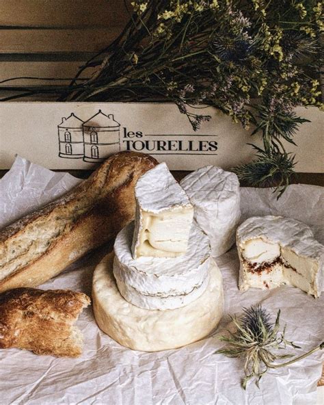 several different types of cheeses and bread on a piece of wax paper ...