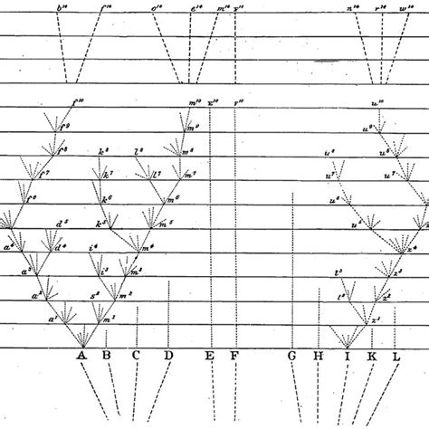 Charles Darwin, tree-of-Life sketch from notebook B, 1837. Reproduced... | Download Scientific ...