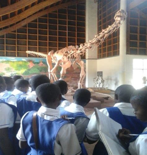 St. Mary’s Karonga Girls Secondary School in Educational Visit to Karonga Museum – Karonga Diocese