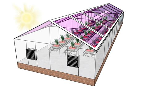 Greenhouses can use solar cells to become energy neutral | Electronics360