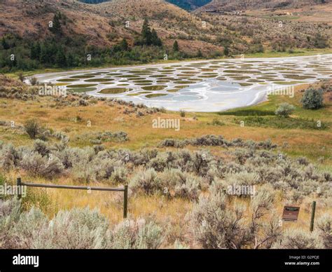 Canada british columbia canada okanagan spotted lake alkali lake minerals hi-res stock ...