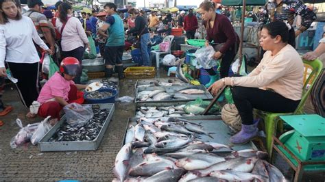 Chhbar Ampov Fish Market Tours - The Second Site Distribute Alive Fish ...