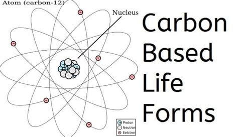 Carbon-Based Life Forms – The Creation Club | A Place for Biblical ...