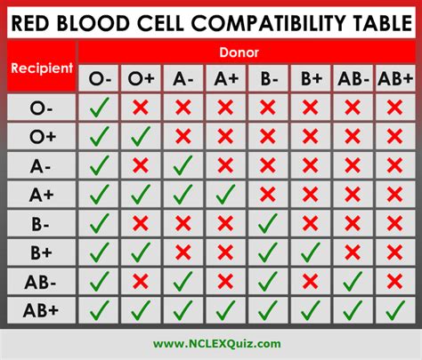 Red Blood Cell Compatibility Chart - Blood Type Chart