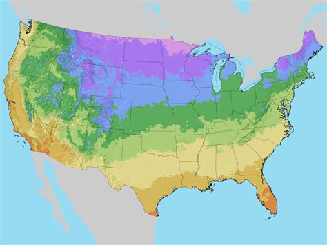 'It feels like I'm not crazy.' Gardeners aren't surprised as USDA updates key map | NCPR News