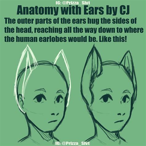 Pin by Sara Brown on Drawing ~ Tutorials ~ Reference | Anime cat ears, Drawing people, Animal ...