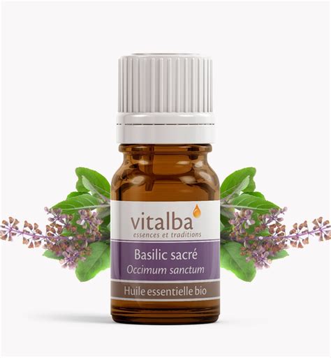 Huile essentielle de Basilic Sacré | Vitalba