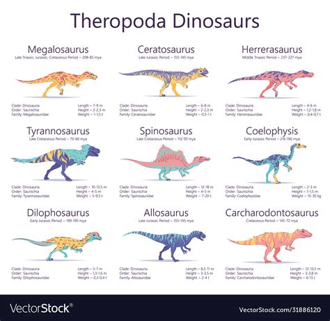 Theropoda dinosaurs colorful Royalty Free Vector Image