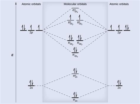 Molecular Orbital Diagram of Br2: Unraveling the Bonding and ...