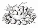 Delightful Nuts Coloring Activity  Page sketch template