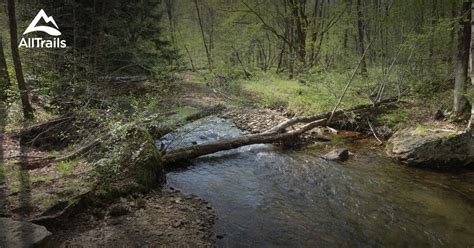 Best Trails in Allegheny National Forest - Pennsylvania | AllTrails