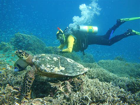 Tauchen in Thailand › Khaolak-Diving