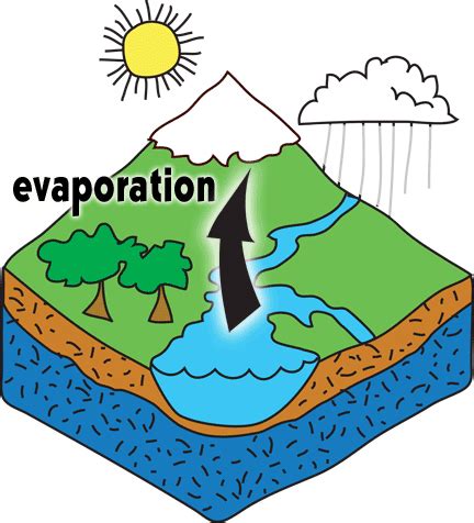 The Hydrologic Cycle - What Is It & How Does It Work? – The Groundwater Foundation