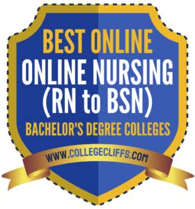 The 13 Best Online Nursing (RN to BSN) Bachelor's Degree Colleges - College Cliffs