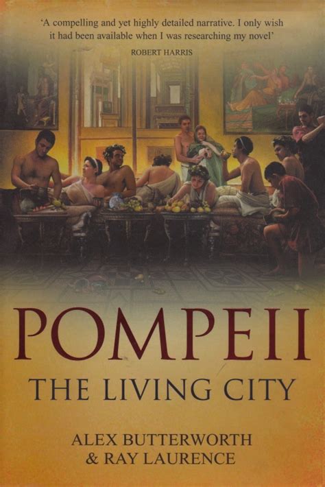 Pompeii book cover | anne frandi-coory