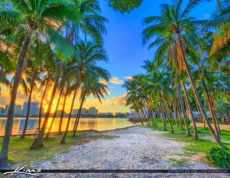 Palm Beach Island Coconut Trees Sunset Waterway Square | HDR Photography by Captain Kimo