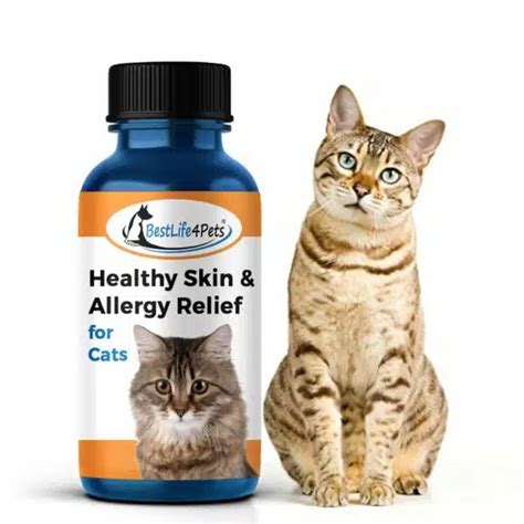 Best Food For Cats With Allergies: Top Picks For Sensitive Felines | Alpha Paw