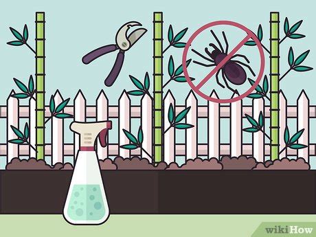 How to Plant a Running Bamboo (with Pictures) - wikiHow