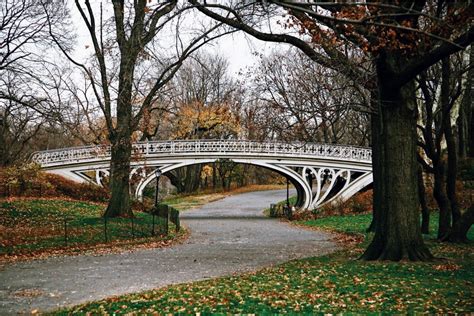 The Essential Central Park Guided Walking Tour | New York City Tours