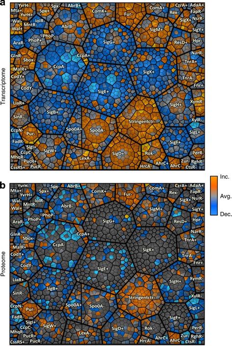 heatmap | Visualisation, Data visualization, Image