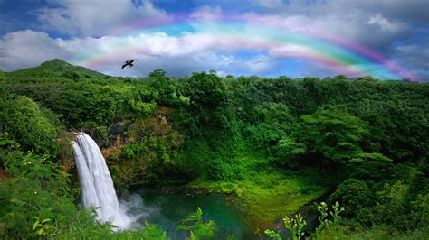 Download Greenery Rainbow Hawaii Nature Waterfall HD Wallpaper