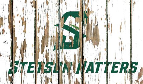 Stetson University Vintage College Logo Peeling Barn Wood Paint Mixed ...