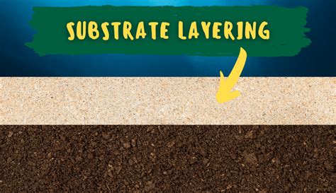 How do you layer a planted aquarium substrate? - Rooted Tank | Planted Aquariums Advice & Guides