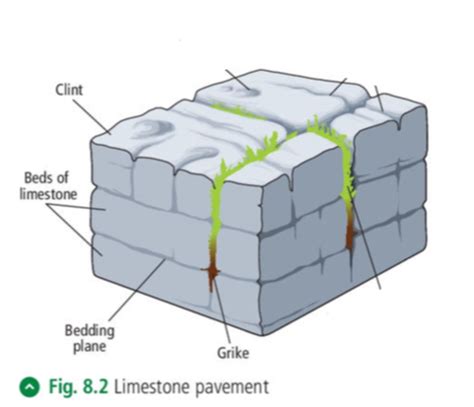 Geography, Karst Surface Feature: Limestone Pavement Flashcards | Quizlet