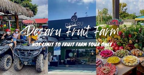 Desaru Fruit Farm: ATV, Fruit Tour, Herbs Garden & Mini Zoo