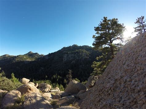 Ravine Ravings: Hiking the Hualapai Mountains