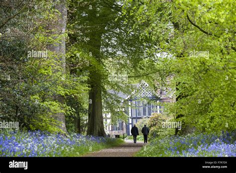 The gardens in the spring at Rufford Old Hall, Lancashire. Rufford Old ...