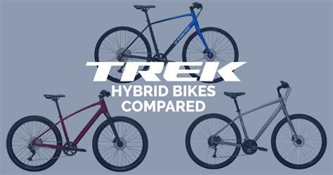 Trek Hybrid Bikes Compared: FX vs. Verve vs. Dual Sport - Cyclists Hub