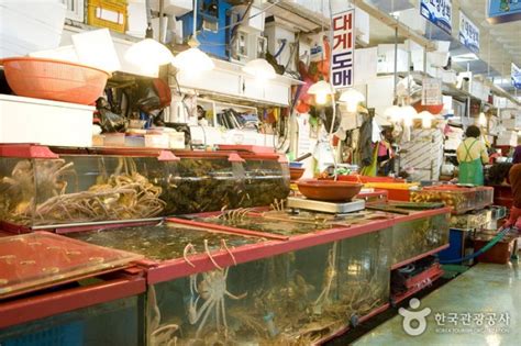 Jagalchi Market Live Fish Section | 자갈치시장 활어부 : TRIPPOSE