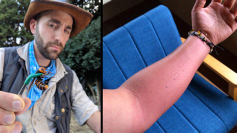 Meet Coyote Peterson, the 'King of Sting' Stung by Murder Hornet - Business Insider