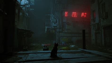 Future Games Need More Animal Protagonists Like Stray - eXputer.com