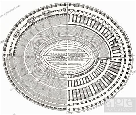 Colosseum Floor Plan | Viewfloor.co