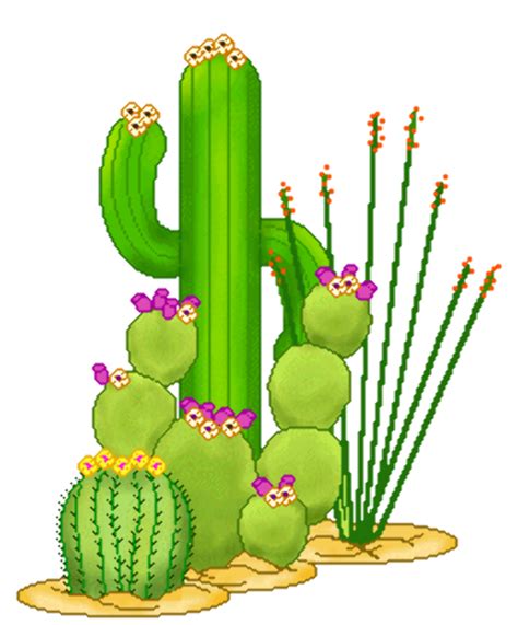 Download High Quality cactus clip art flower Transparent PNG Images ...